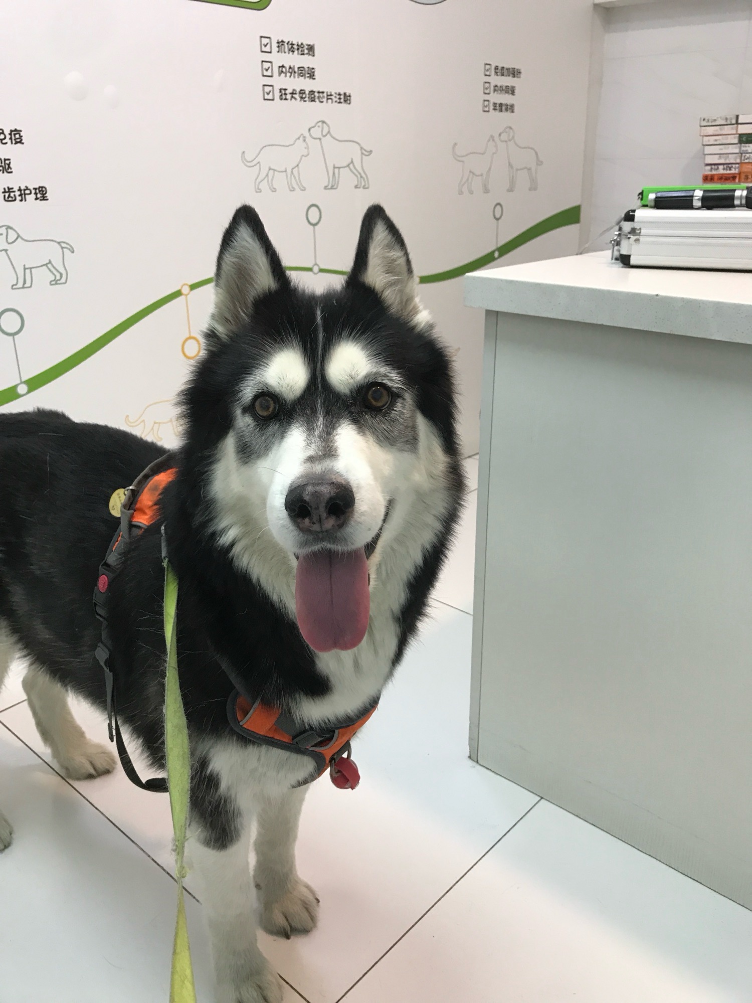 Candy at the clinic